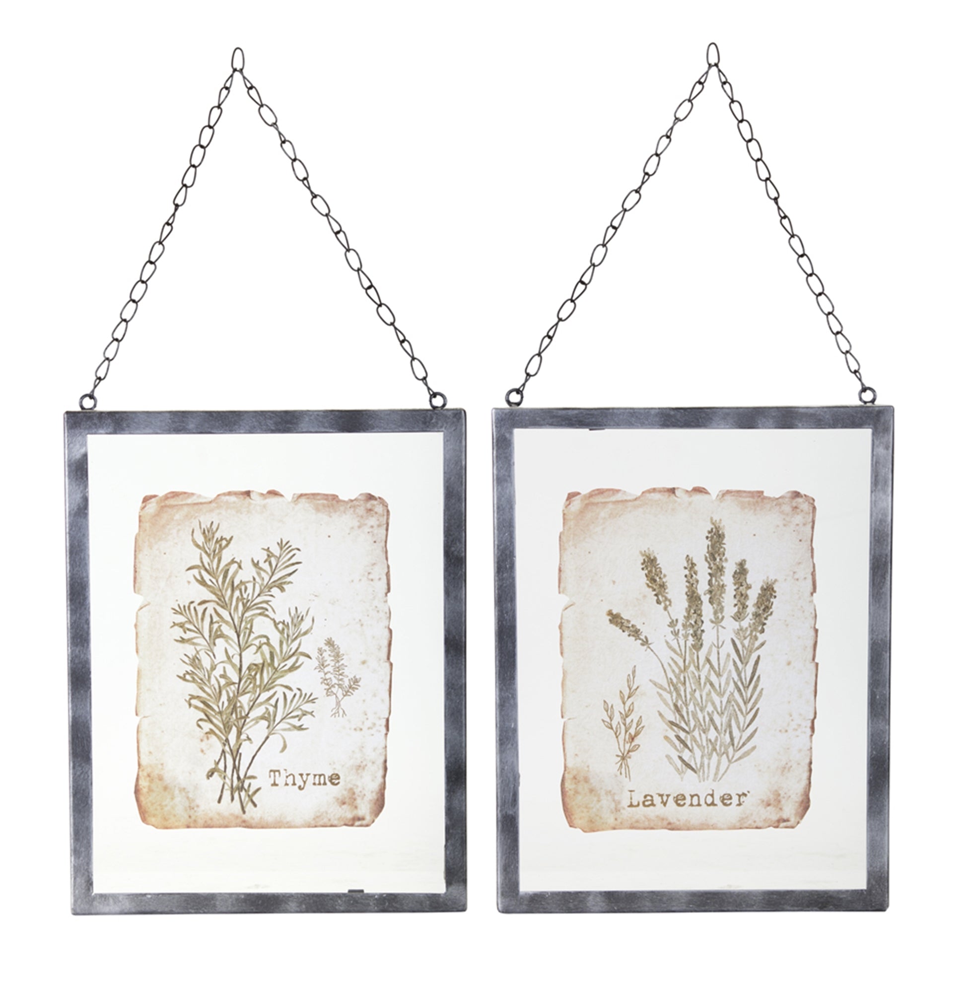 Lavender & Thyme Picture Ornament