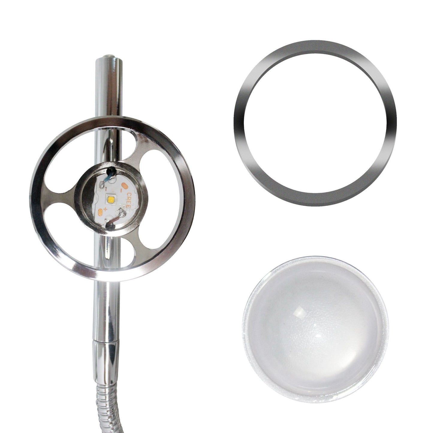 Tiamat Projection Lamp